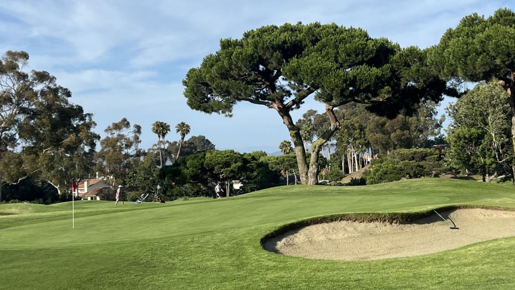 Golfers walking near a green with a red flag and sand bunker under a large umbrella pine at Lomas Santa Fe