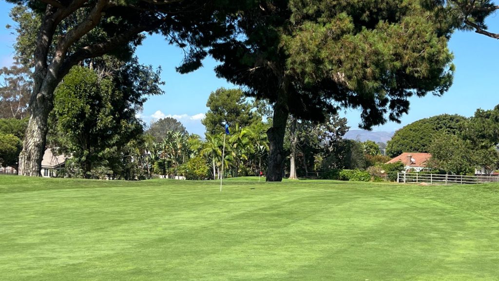 Perfectly mowed putting green with a blue flag beneath a towering pine, with palm trees and red-tile rooftops behind