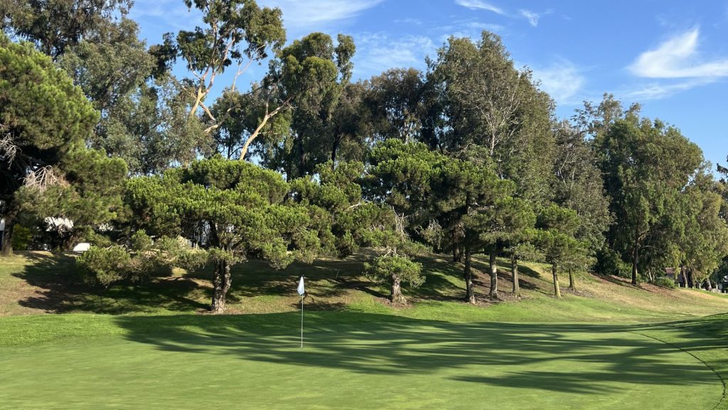 Putting green with a white flag beneath a hillside of tall pine and eucalyptus trees at Lomas Santa Fe Executive Golf Course